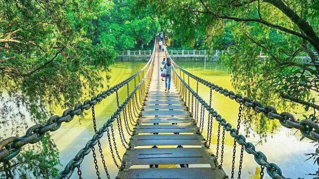 深圳免费公园哪里最好啊,深圳十大免费公园景点大全