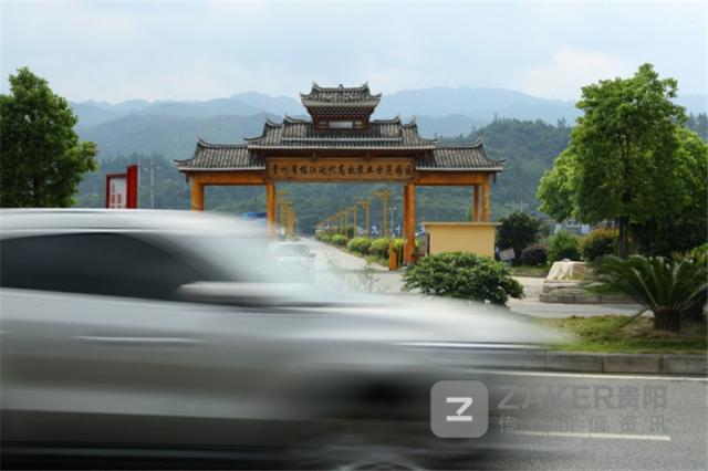 贵州榕江黑木耳丰收助农增收致富,贵州黔西林下养殖闯出致富路