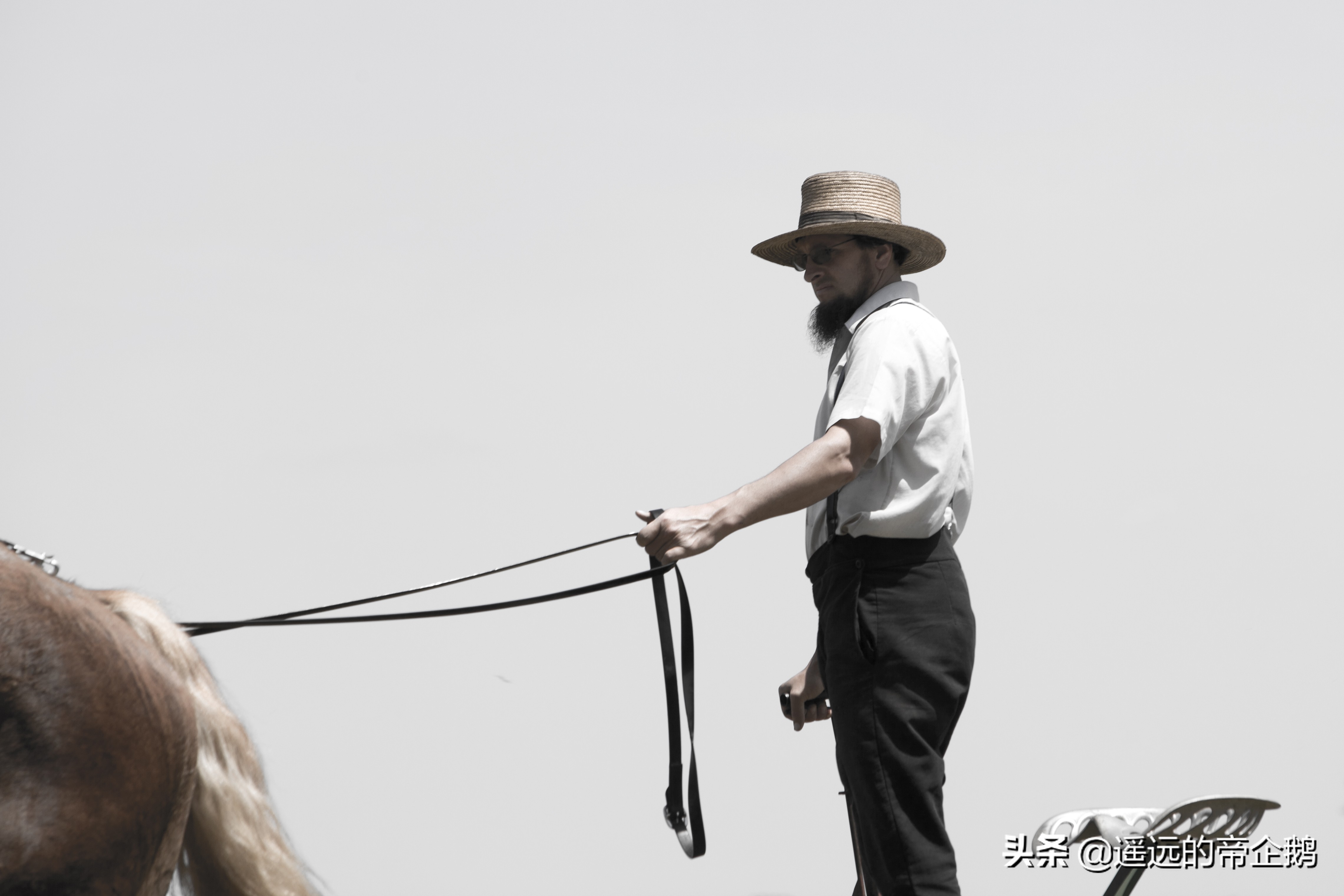 兰卡斯特宾夕法尼亚,兰卡斯特大学lancaster