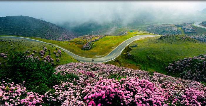 贵州盘州乌蒙草原海拔多少,贵州六盘水乌蒙大草原海拔多少