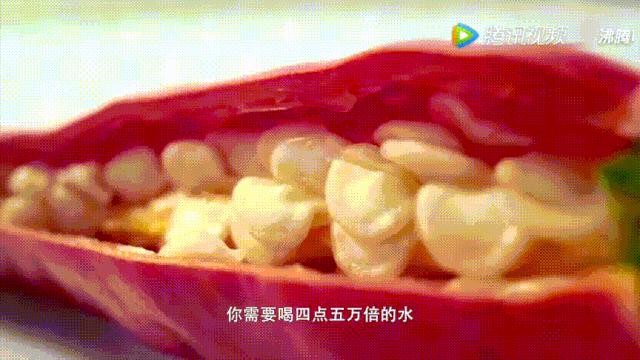 明星投毒吓人事件,深夜放毒招人恨的视频