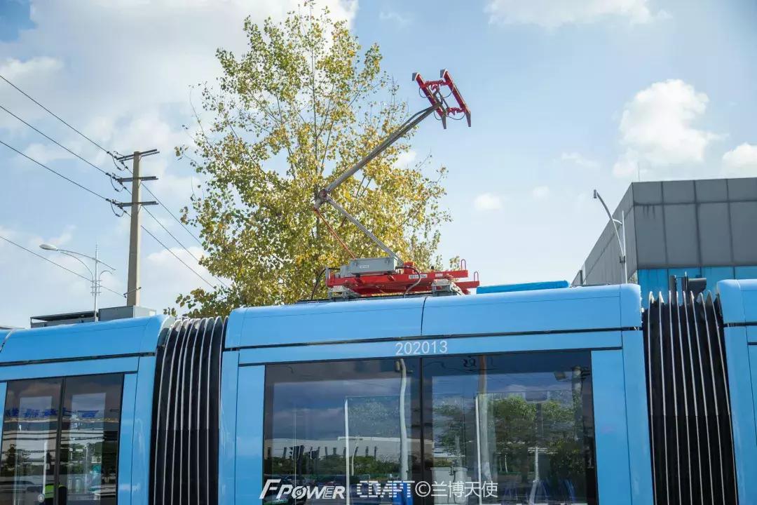 从蓉2来｜天天看见“叮叮猫”跑来跑去的，它到底在忙什么啊？