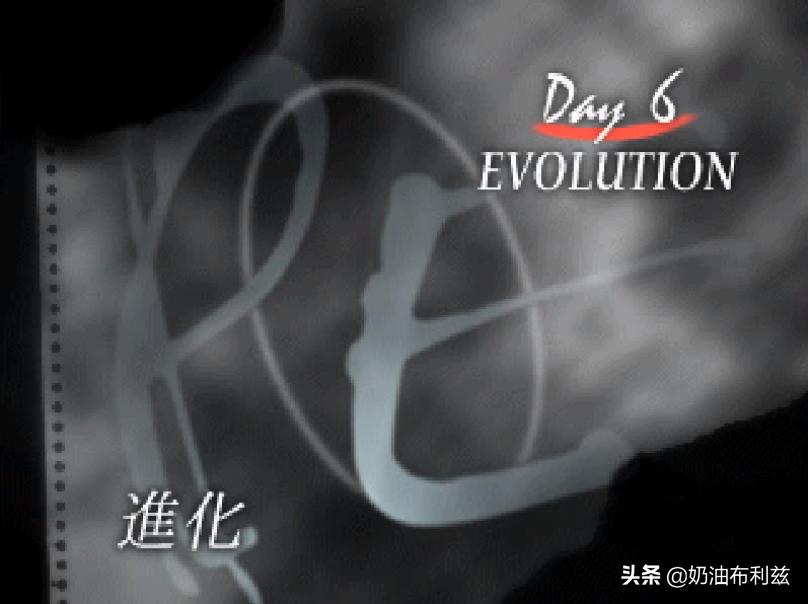 SE，你还记得大明湖畔的《寄生前夜》和《北欧女神》吗？