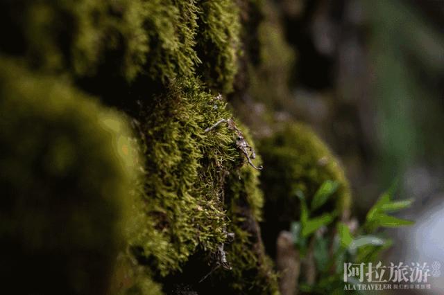 宁波网红游乐推荐,宁波室外十大网红游乐项目