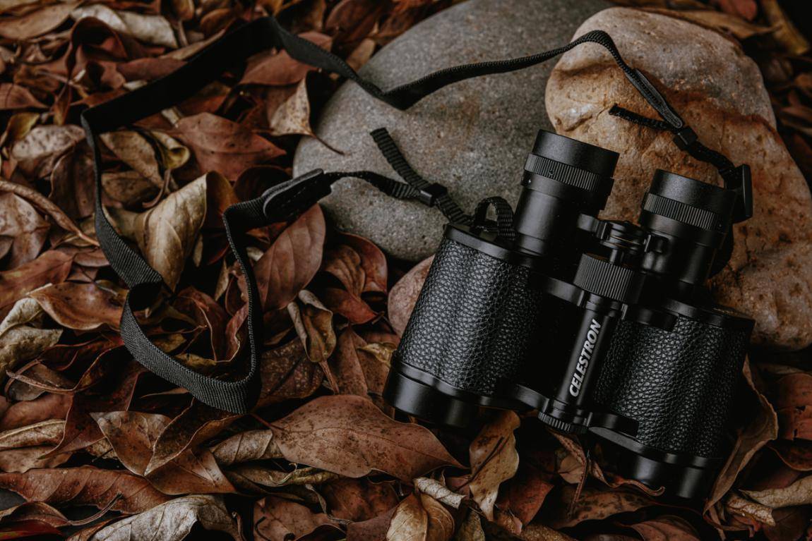 星特朗望远镜实拍效果,星特朗双筒自然望远镜使用教程