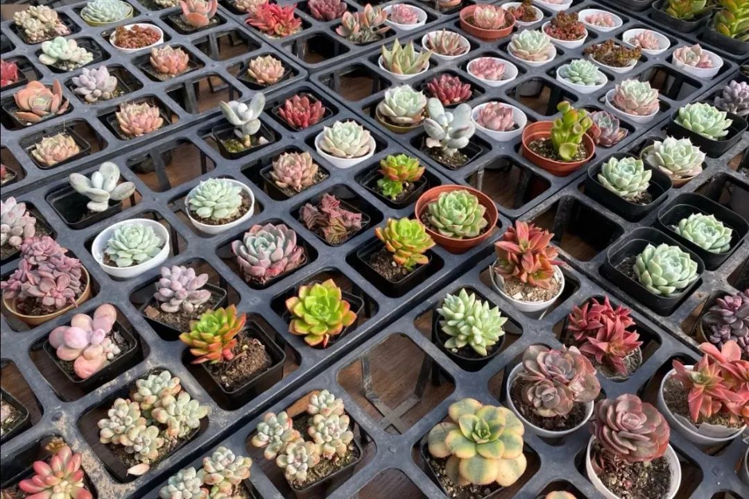 最新最全版私藏版《西安批发市场地图》来啦