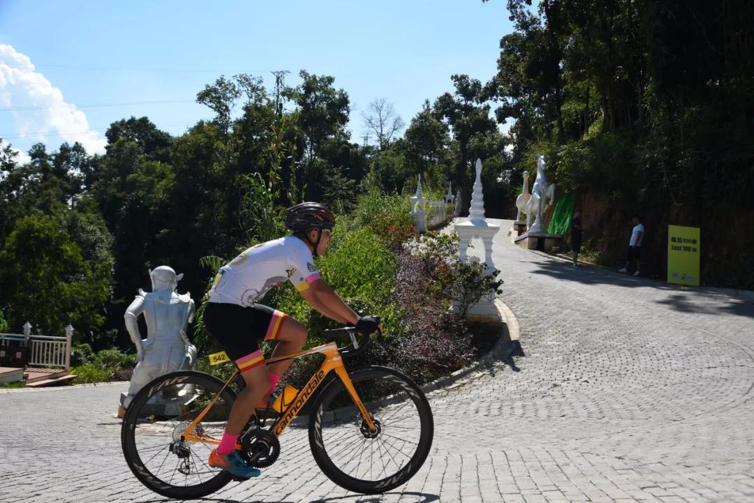 全碳纤维自行车轮子,自行车轮子哪个最好