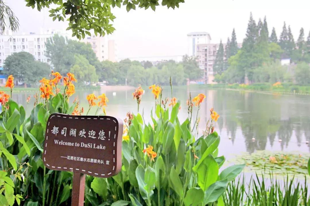 武昌这所低调的大学坐拥一线江景，教学楼窗外就是黄鹤楼