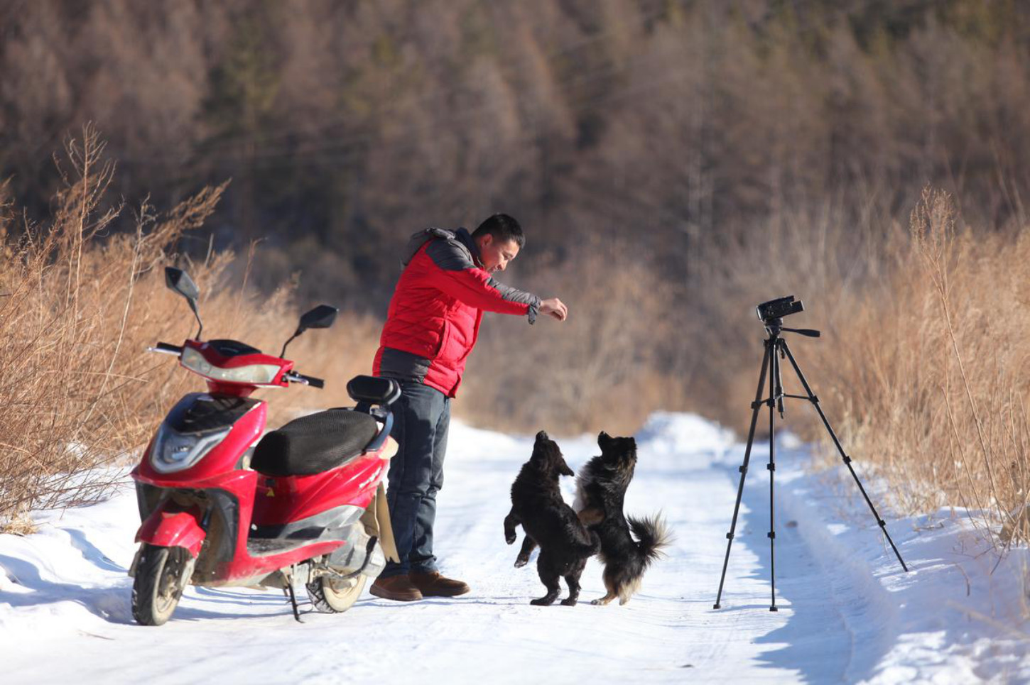 记录农村生活的东北网红,东北网红记录乡村生活
