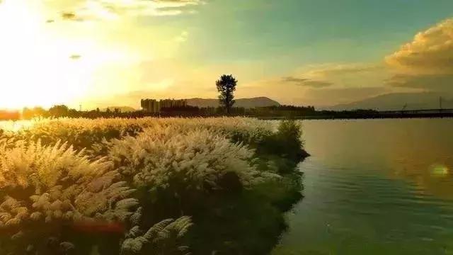 汉台半日游,汉台区一日游