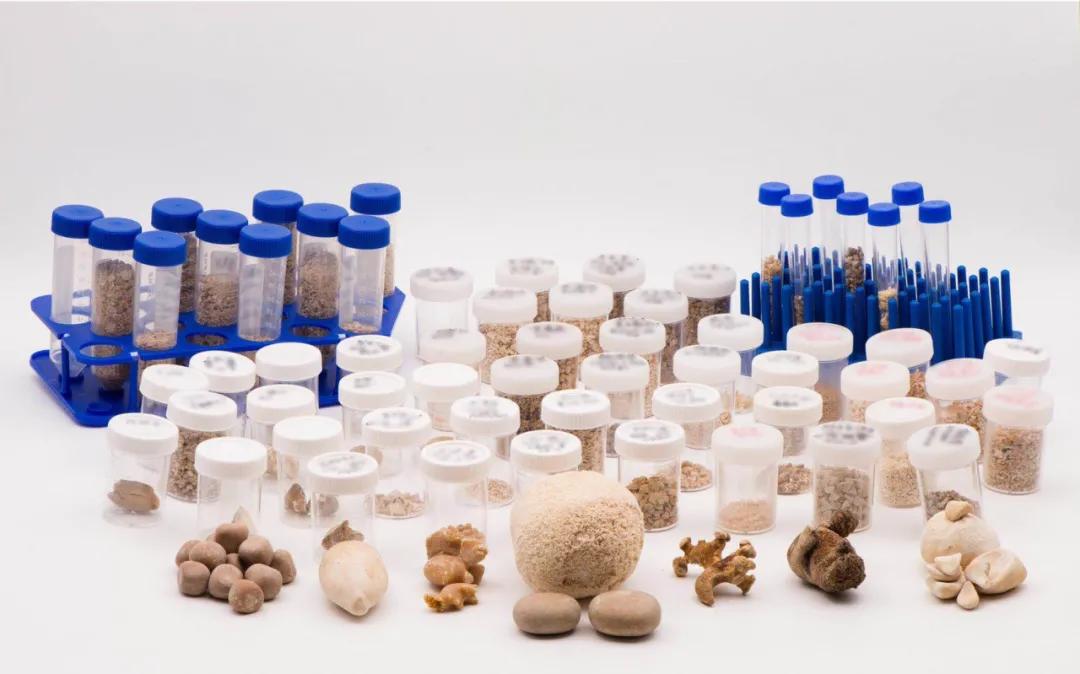 你从没见过的，医生的宝物来啦！