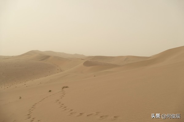 鸣沙山月牙泉堆满了游客,鸣沙山月牙泉景区