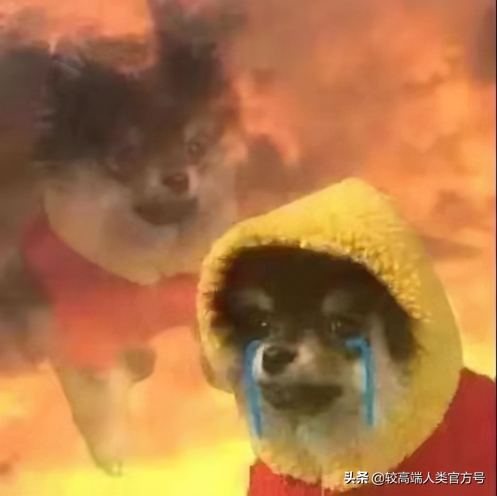 和直男聊天到底有多惨,和直男聊天到底有多折磨人