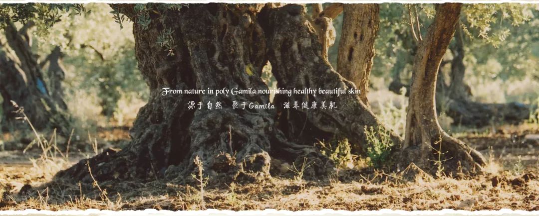 2022年美妆广告,11.11化妆品海报图片