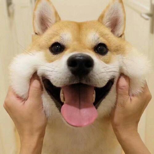 闺蜜和姐妹头像,姐妹闺蜜头像卡通