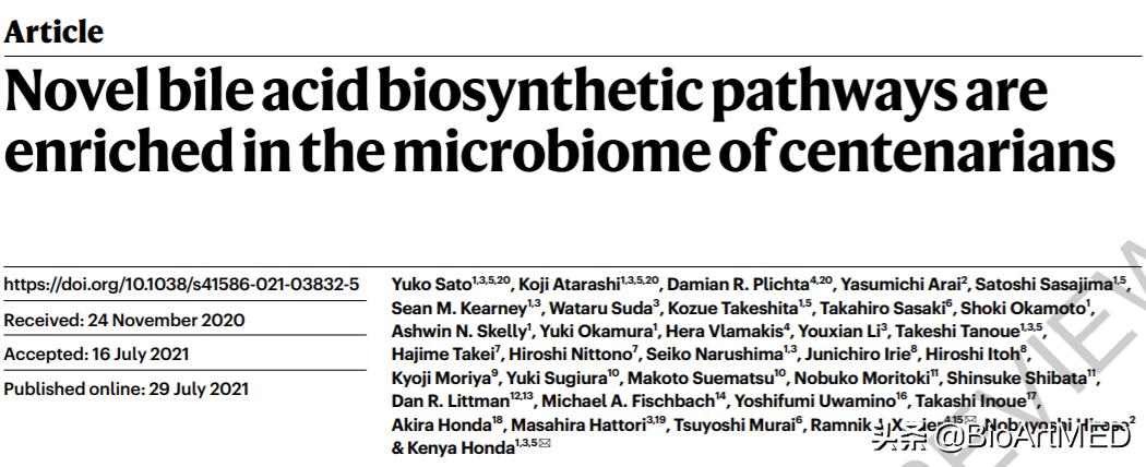 百岁老人的长寿秘诀在肠道里,百岁老人肠道