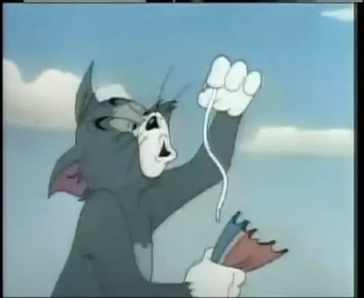 猫和老鼠四川方言版风车车哪里看,猫和老鼠四川风车车