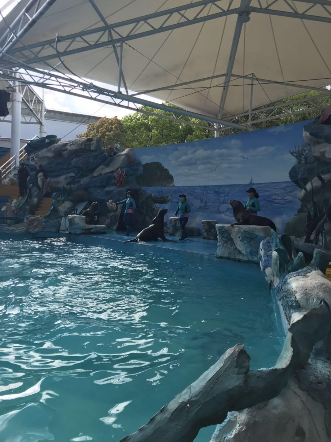 上海野生动物园太阳广场节目安排,上海野生动物园建议游玩时间