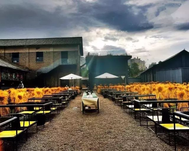 广州增城区宛若故里稻田里民宿,清远稻田田野民宿