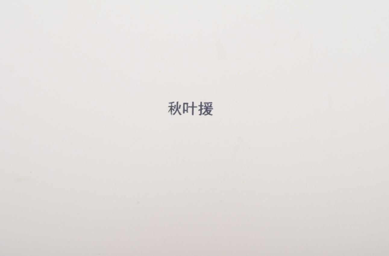 随手喷墨打印机,毕升手持电子喷码机不喷墨