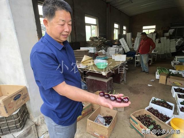 樱桃爸爸打了娇娇一巴掌,樱桃爸爸怒扇耳光