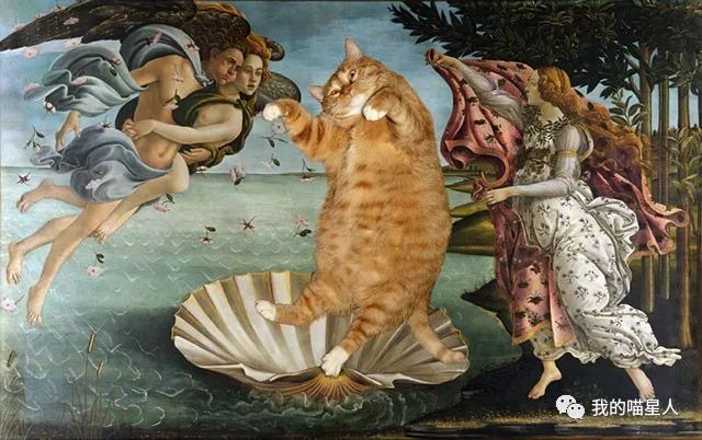胖橘猫画作,一位画家把自己的猫画成卡通人物