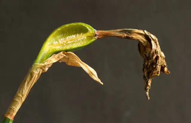 不孕不育的7大禁忌,如何避免不孕不育的发生