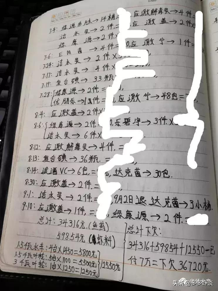 水产养殖新模式,微山湖虾蟹混养