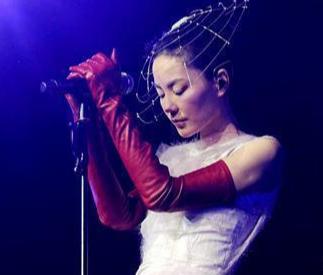 王菲谢霆锋没离婚吗,王菲谢霆锋离婚的真实原因