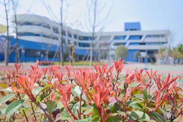 别人家的学校,天府七小和元音小学哪个好