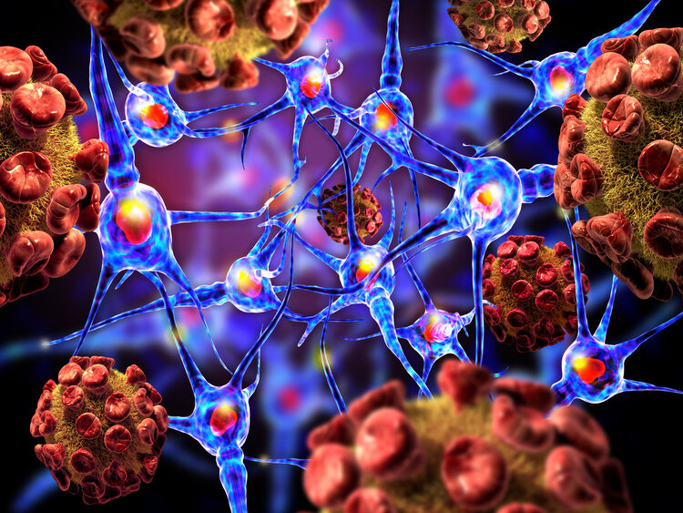 贵的叶酸和便宜的叶酸片区别,便宜的叶酸片和贵的有什么区别