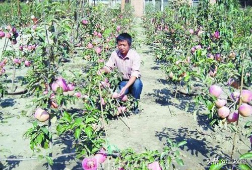 投资小适合农村的创业项目有哪些,农村小投资创业项目推荐