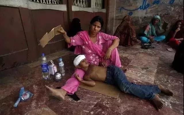 人类面临的生态困境包括哪,生态农业的可能性以及前景