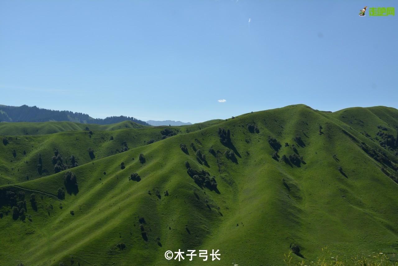 梵高画不出的向日葵,梵高画中的风景