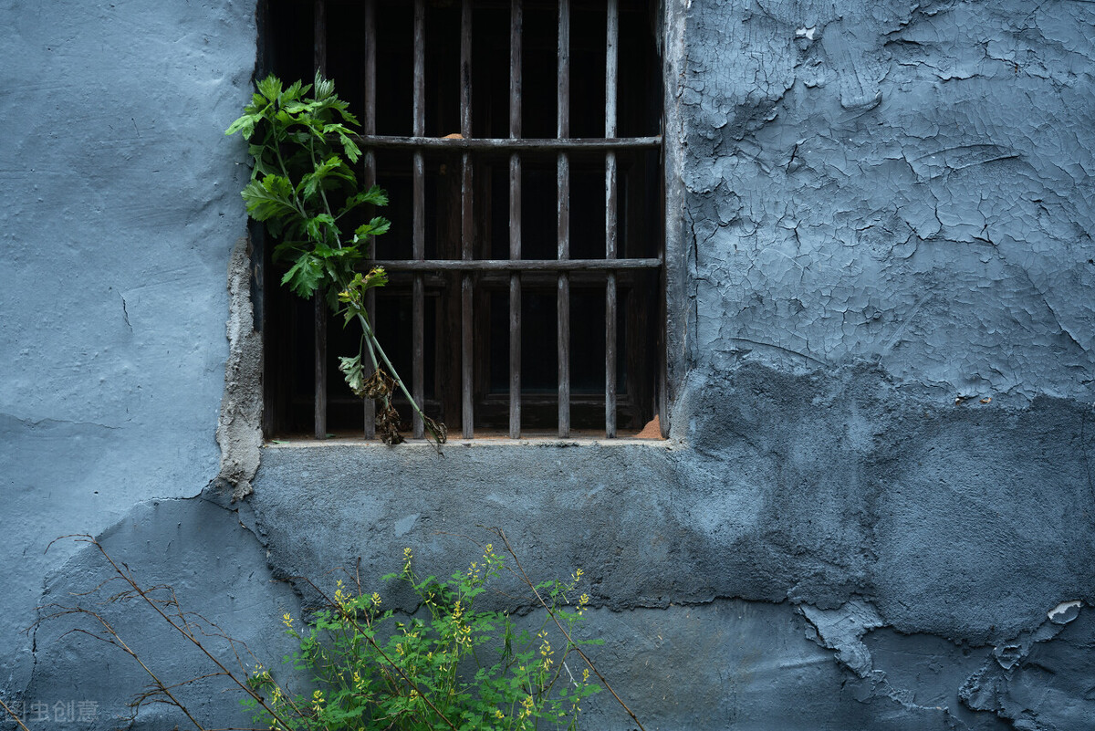 住在一楼屋里潮湿,住在一楼的家里太潮湿有霉味