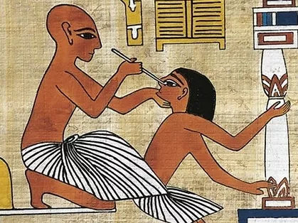 植物的能量和疗愈,植物的灵性和疗愈的力量