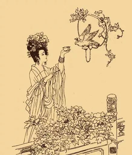 在国内是路人甲的白瓷，为什么出国后秒变白富美？