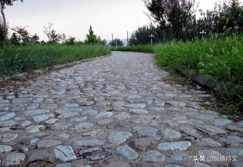 热爱生活从每日跑步开始,跑步让我感受健康和快乐