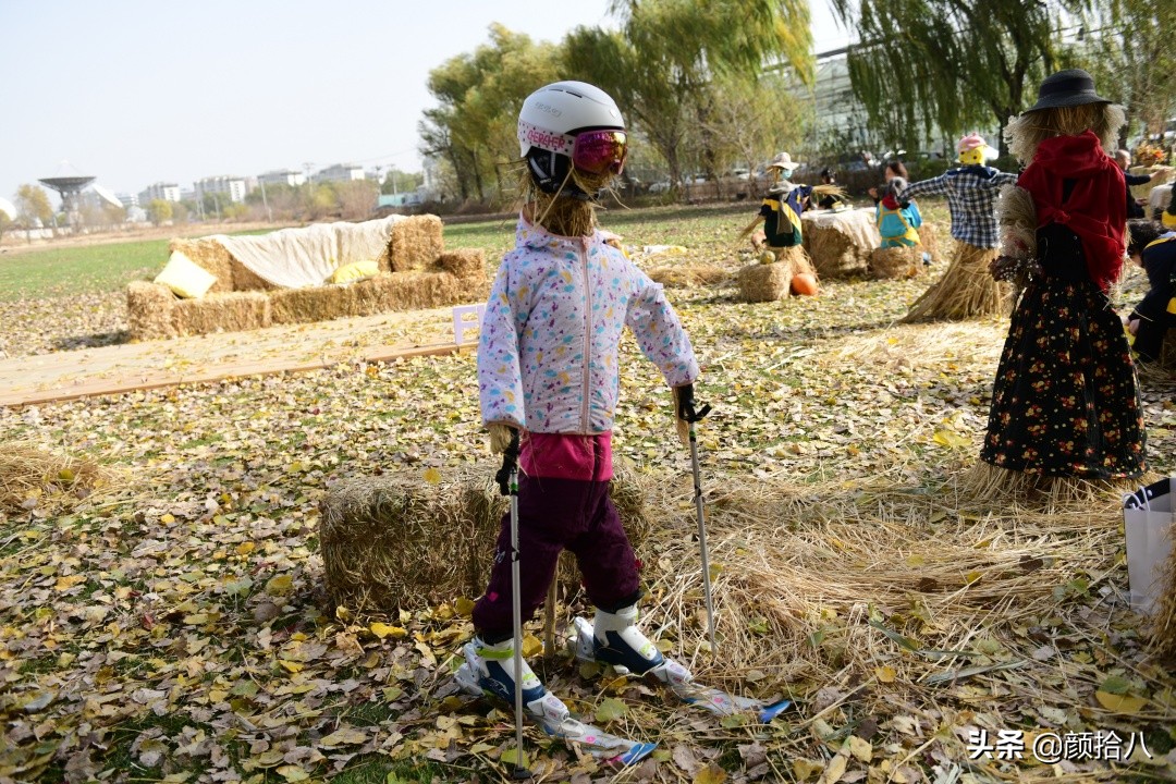 没有比利时花园游，来点比利时啤酒吧|随笔