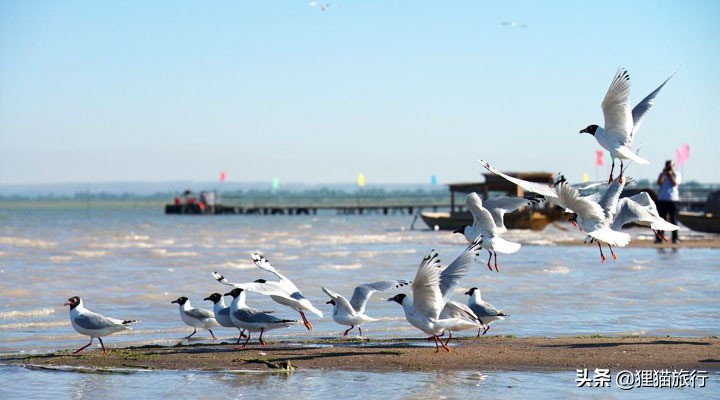 神木市简介风土人情,陕西神木有什么风景区