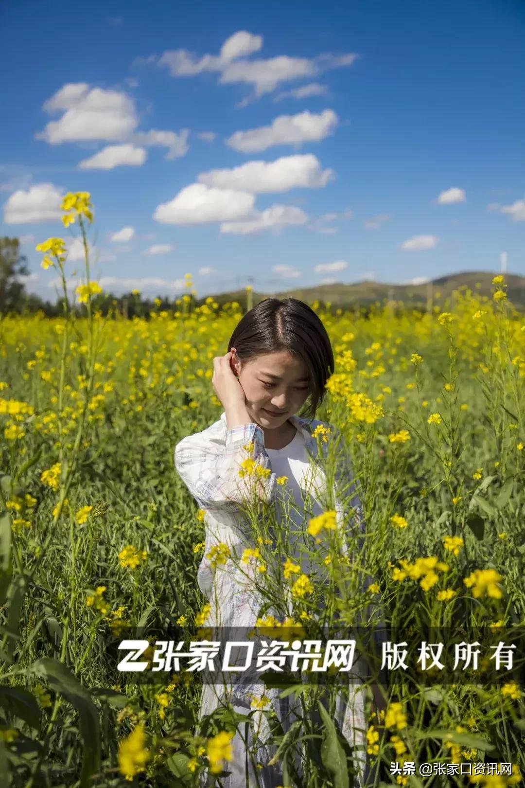 张家口草原天路美景如画,张家口一路风景