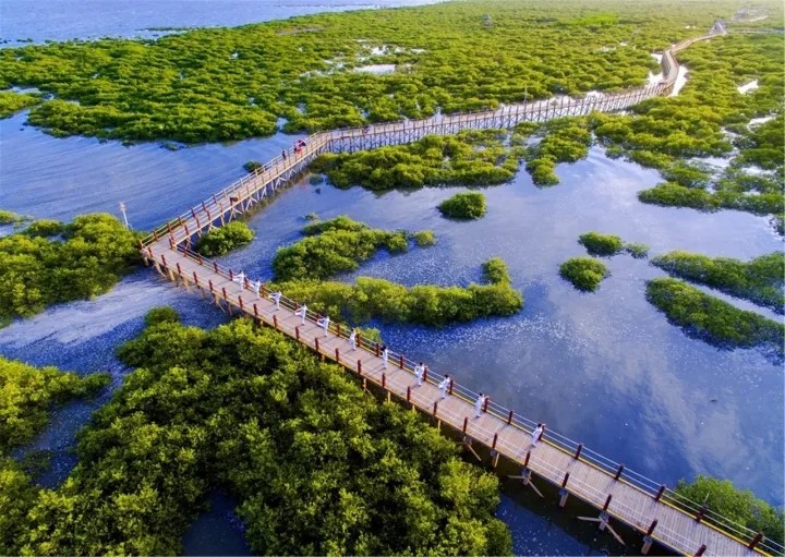 北海哪个地方负氧离子含量比较高,北海北岸和南岸负氧离子含量高
