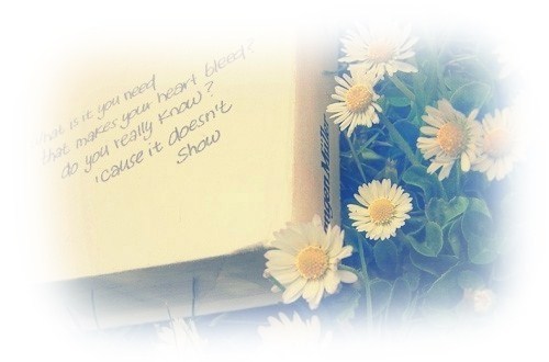 白落梅经典语录名段,白落梅的经典语录大爱无言