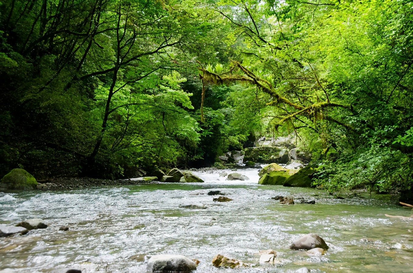 成都耍水的地方推荐适合小孩,成都免费游泳耍水的地方