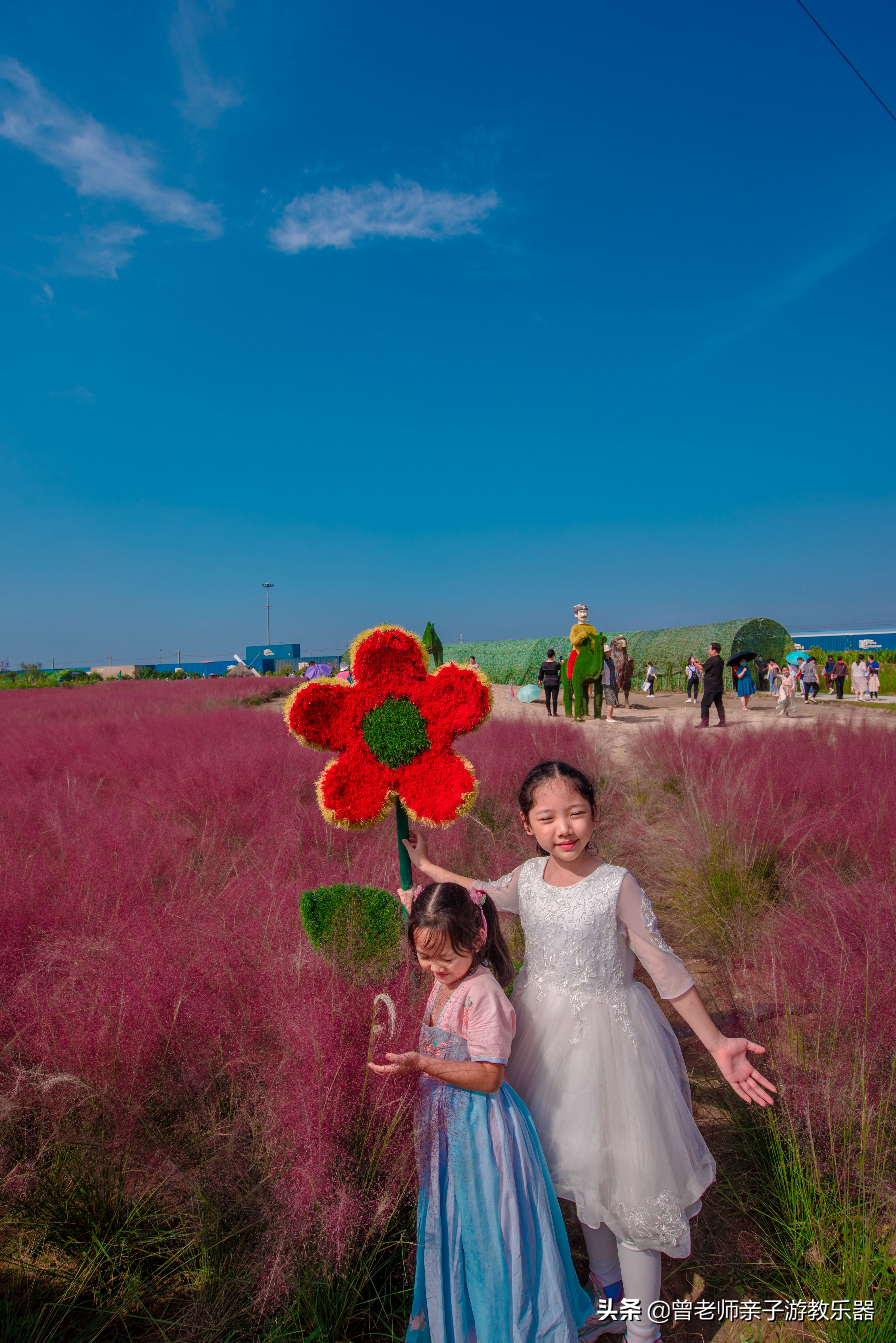 西安菊花节9.9元门票,爱菊菊花节怎么去