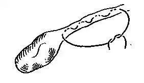 外科缝合方法笔记,兽医外科手术中最常用的缝合方法