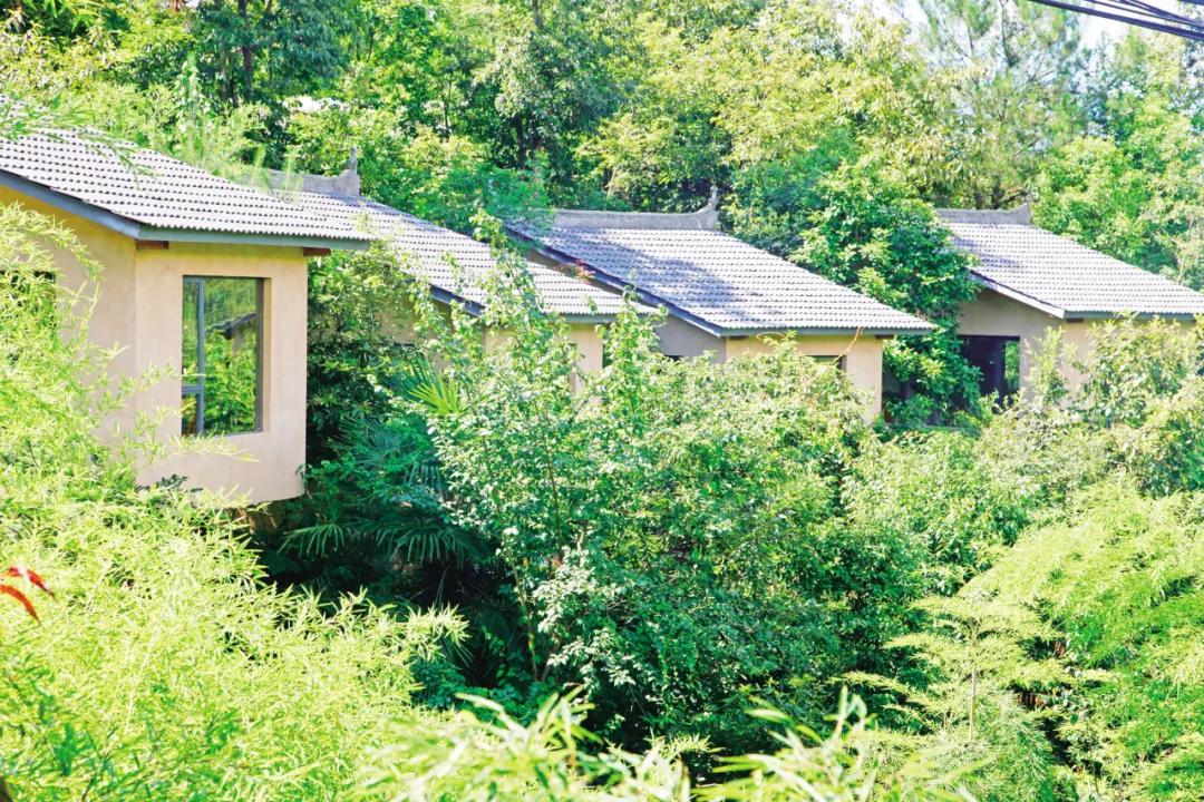 把诗和远方留在家里,把诗和远方藏在心里