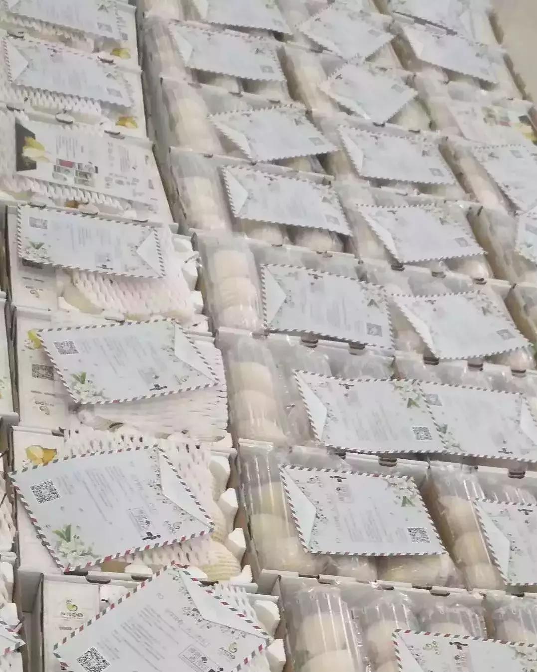 “阳信鸭梨”区域公用品牌形象标识