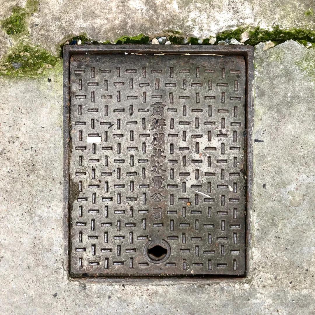 不要错过上海的春天,不要错过上海的夏天