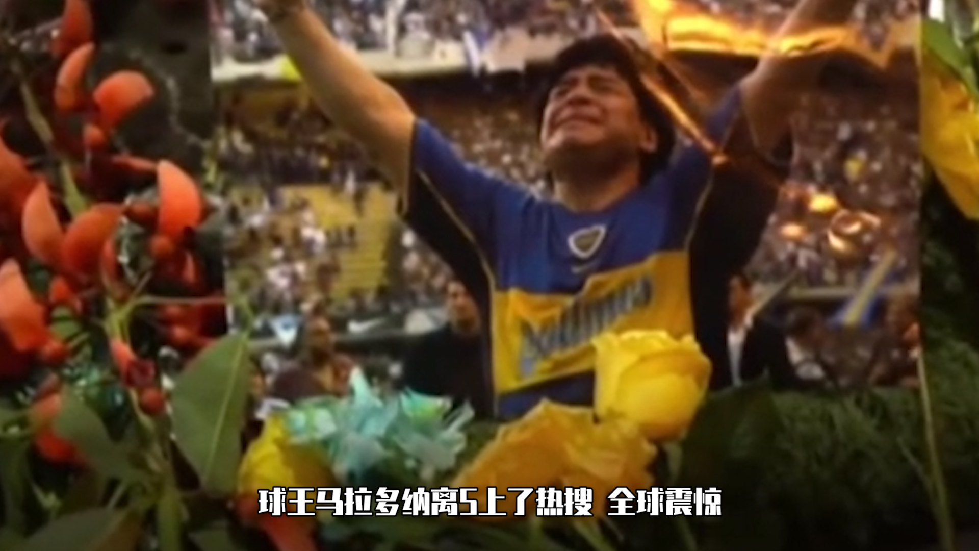 马拉多纳永远的足坛神话,马拉多纳生涯冠军